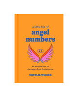 A Little Bit of Angel Numbers Book