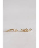 Champagne Crawler Earrings - PINK ARROWS