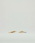 Made of Lightning Earrings 14k Gold - PINK ARROWS